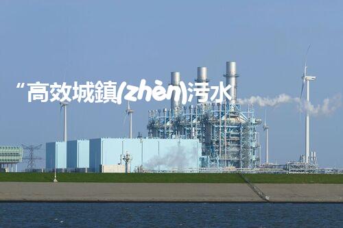 “高效城鎮(zhèn)污水處理流程，守護(hù)碧水藍(lán)天新篇章”